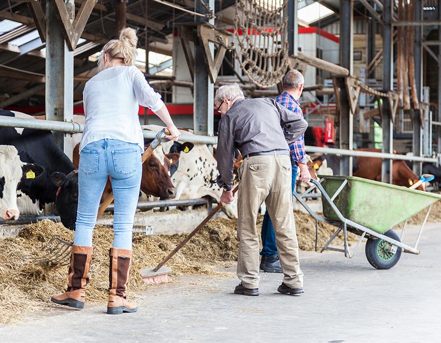 Zorgboerderij Leekzicht